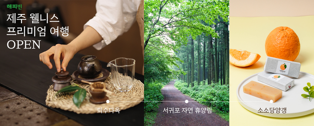 회수다옥 ‘제주 웰니스 프리미엄 여행’ 프로그램 선보여 post image