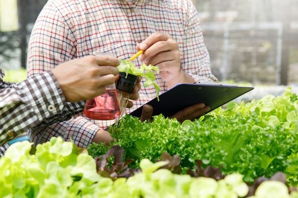 “도심 유휴 공간을 첨단 수직농장으로”... 대전시, ‘스마트팜 조성사업’ 운영사 통합 모집 post image