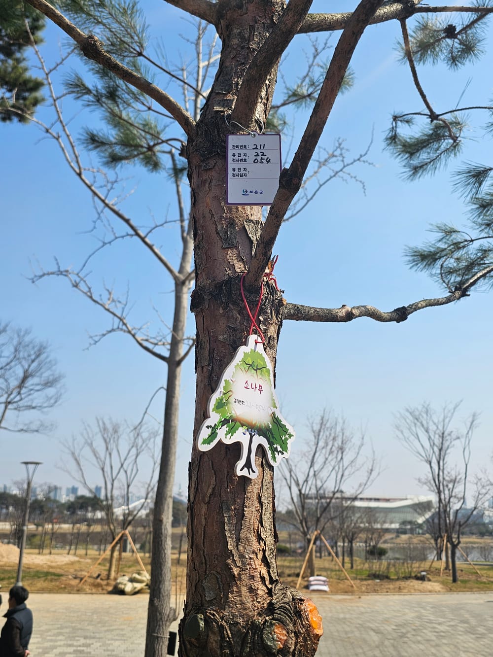 홍예공원에 뿌리내린 ‘천년 명품목’ post image