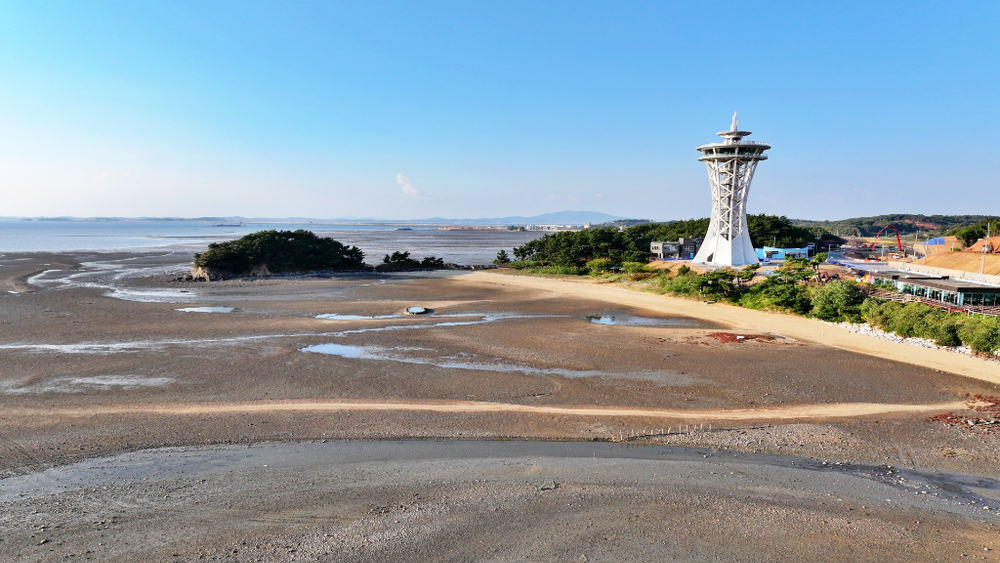 갯벌생태계 복원사업 ‘국가계획 반영’ 도전 post image