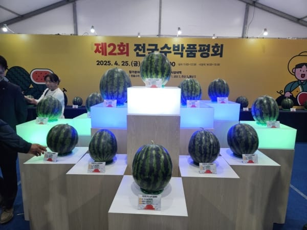 부여군 수박연구회, 전국수박품평회 금상 수상 쾌거 post image