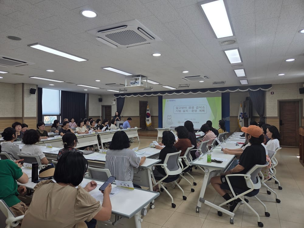 대전시, 길고양이 공공급식소 시범 설치 post image