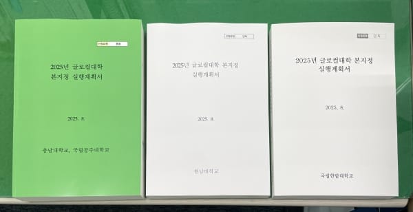 대전시, 2025년 글로컬대학30 본지정 실행계획서 제출 post image