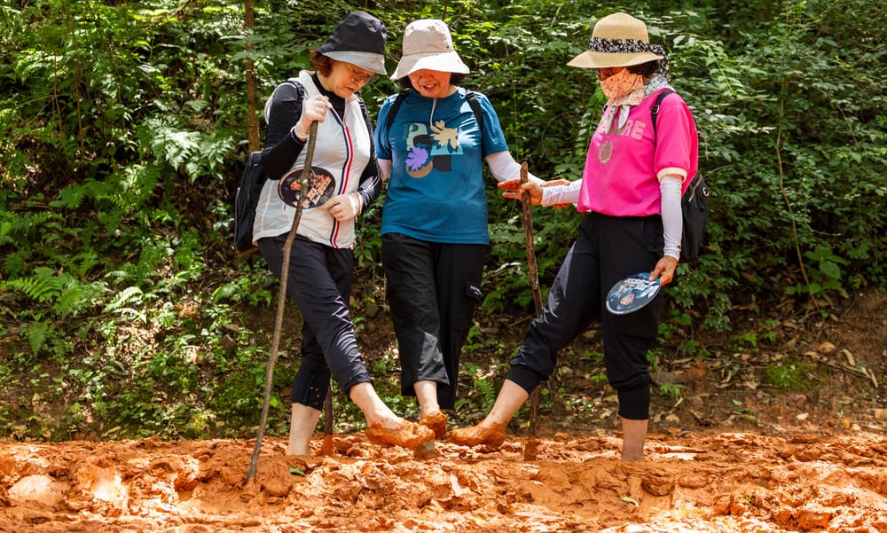 대전시‘맨발걷기 녹색도시’ 조성 본격화... 현재 29개소, 총 40.5km. 2026년까지 생활권형 5개소 추가 예정 post image