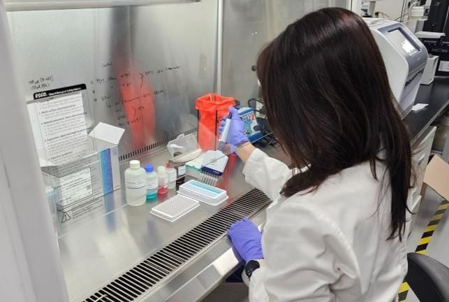 세종시 구제역 백신 항체 양성률 '우수' post image