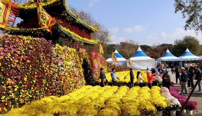 제22회 백제고도부여국화축제, 성황리 마무리 post image