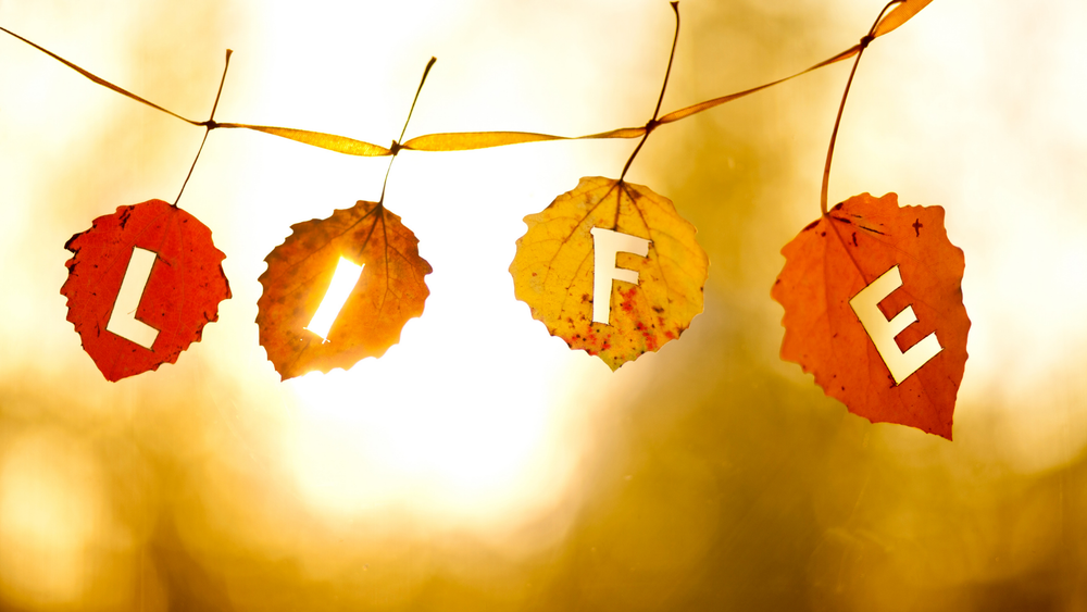 행운을 불러오는 오늘의 한마디 (25-11-25) post image