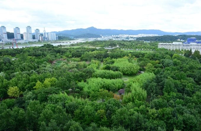 대전, 그린청정도시가 된 비결은? post image