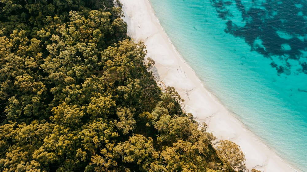 호주 뉴사우스웨일즈주 관광청, 뉴사우스웨일즈 여름 해변 가이드 소개 post image