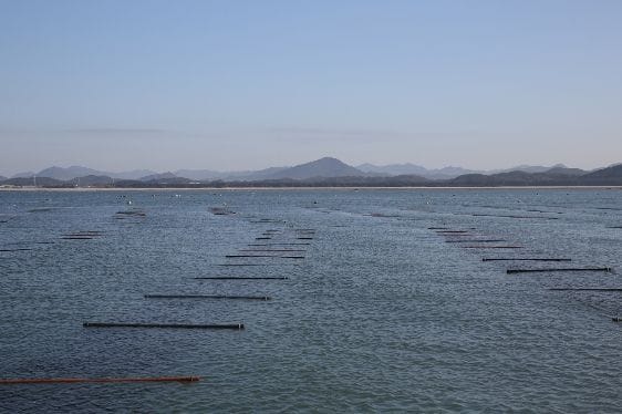 전세계 입맛 사로잡은 ‘충남 김’ 수출액 역대 최고 post image