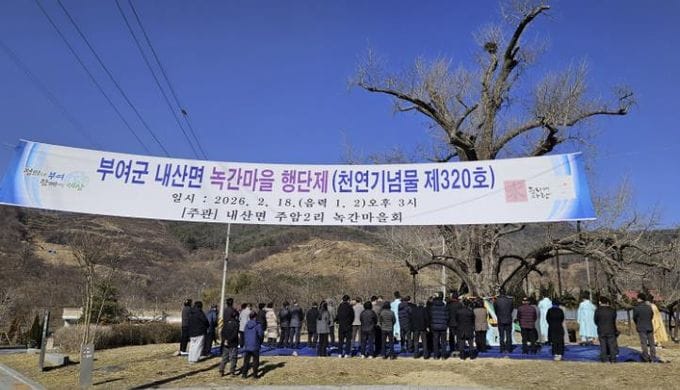 천연기념물 부여 주암리 은행나무 앞에서 행단제[杏壇祭] 거행 post image