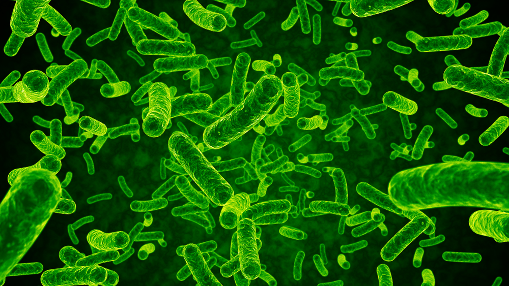 니파바이러스 감염 급증… 세종시,해외여행 주의보 post image