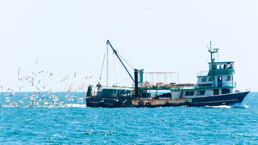 충남 바다서 제2의 인생 꿈꾼다 post image