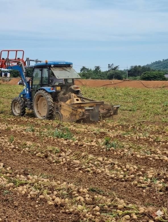 충남, 노지 스마트농업 중심지로 도약 post image