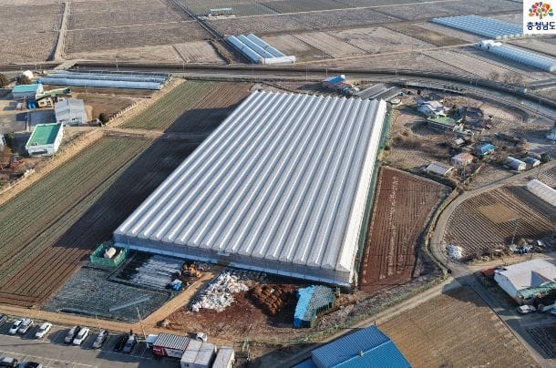 충남도 1만㎡ 규모 딸기 스마트팜 육묘장 조성 post image