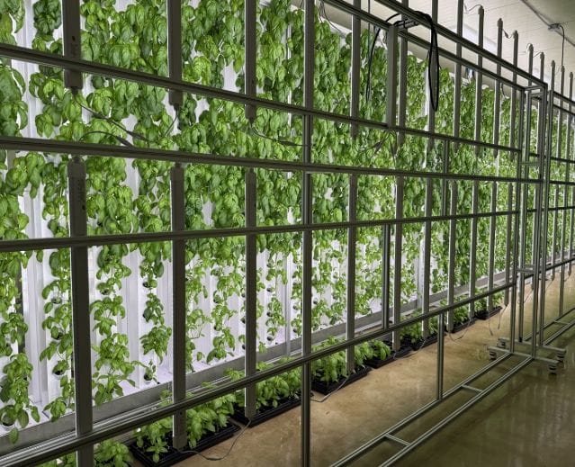 도심형 스마트팜 ‘대전팜’ 확대 추진 post image