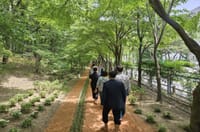 한밭수목원 맨발걷기 산책로 일일 방문객 1천 명… 도심 속 ‘건강 힐링코스’로 인기몰이 post image