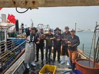 충남 어촌 활력에 불을 지피다 post image