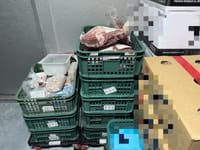 대전시 특사경, 불법 축산물 판매업체 6곳 적발 post image