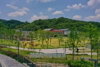 대전시, 전국 최초 자치구별 반려동물 놀이터 전면 구축 post image