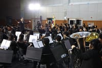 세종시교육청, 늦가을 교정에 쌓여가는 아름다운 하모니의 향연 post image