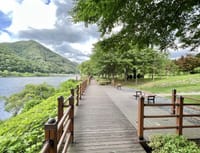 무장애 나눔길로 녹색복지 실현시민 누구나 걷는 10km 초록숲길 조성 post image