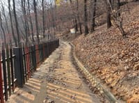 '새소리․바람소리 따라 걷는 건강한 발걸음' post image