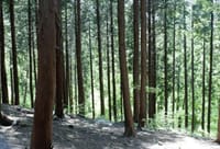 설 연휴는 보령이다! 바다·산·미식 3박자 완벽한 가족여행 post image