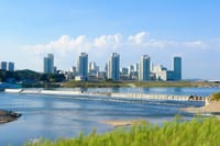 [무조건 라이브] 정부 주관 세종지원위원회 결과 발표 (02.26일) post image