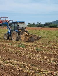 충남, 노지 스마트농업 중심지로 도약 post image