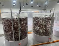 이제 '김 육상에서 양식'... 충남도 관련 기술 특허 2건 등록 post image