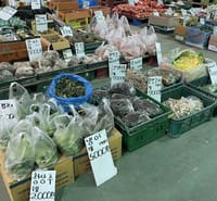 충남도 봄 제철 농산물 잔류농약 검사 추진 post image