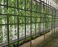 도심형 스마트팜 ‘대전팜’ 확대 추진 post image