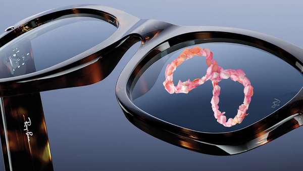 메타 AI 안경, 얼굴인식으로 '누구든 식별' post image