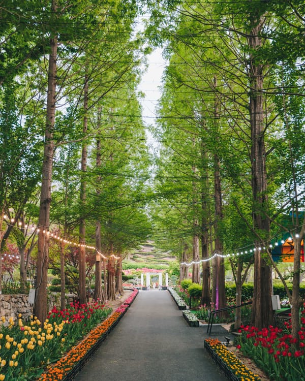 발길 닿는 곳마다 꽃물결, 충남의 봄 post image