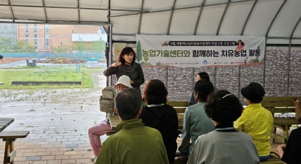 나만의 텃밭에서 힐링 즐겨요 post image