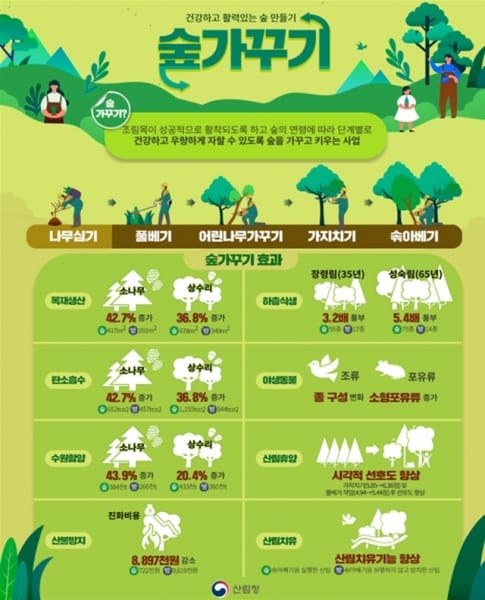 기후위기 대응 ‘건강한 숲’ 조성 박차 post image