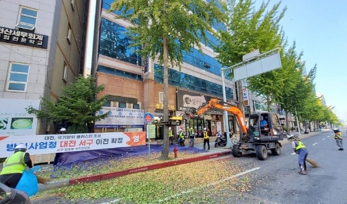 시민 불편 해소와 ‘천년의 숲’ 조성 병행... 대전시, 은행나무 암나무 교체 post image