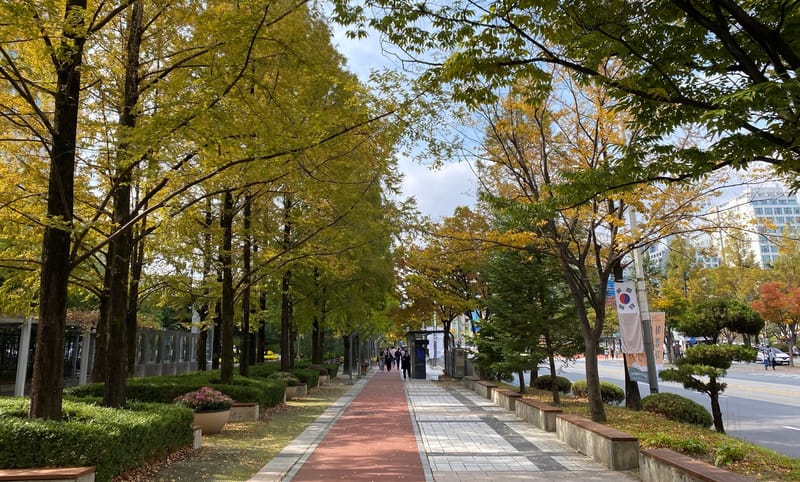 '귀성객 맞이 깨끗한 도시환경 조성'... 대전시, 추석맞이 불법광고물 특별정비 post image
