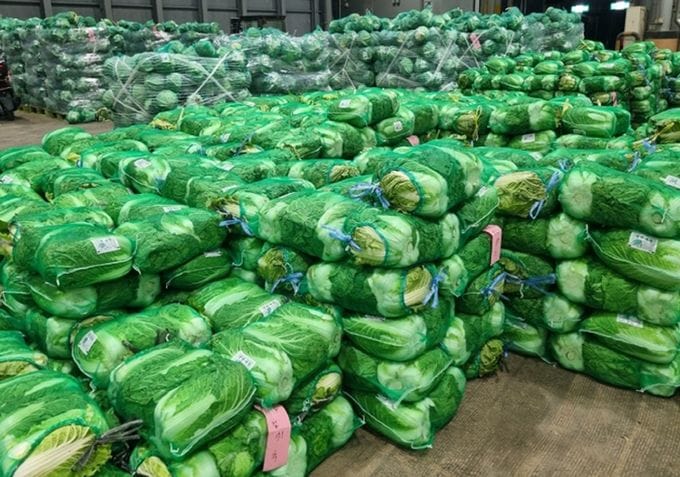 대전 노은농수산물도매시장, 김장시장 개설 post image