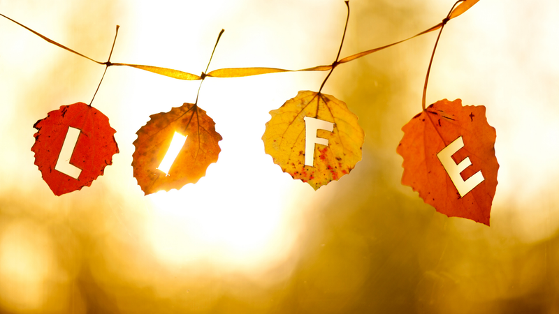 행운을 불러오는 오늘의 한마디 (25-11-25) post image