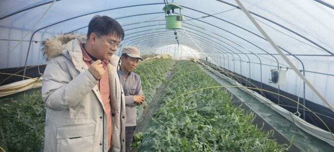부여군농업기술센터, 굿뜨래 고품질 수박 현장 기술 지원 강화 post image