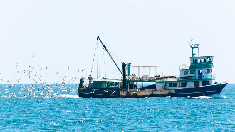 충남 바다서 제2의 인생 꿈꾼다 post image