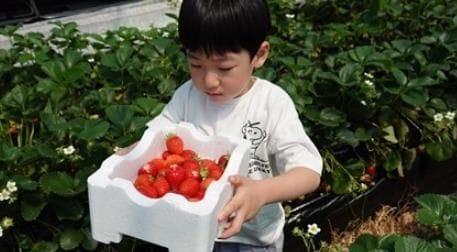 부여 서울농장 '도시민과 농촌의 만남으로 생활인구 유입' 이끈다 post image