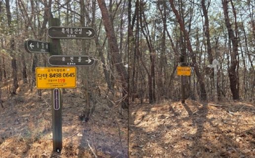 대전시 산불․산악사고 신고? 국가지점번호를 기억하세요 post image